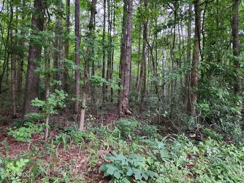 0 Deans Ln, Jackson, GA 30233 photo 5