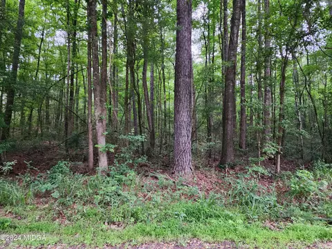 0 Deans Ln, Jackson, GA 30233 photo 2
