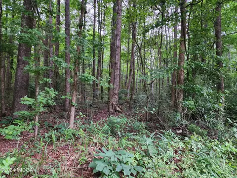 0 Deans Ln, Jackson, GA 30233 photo 7