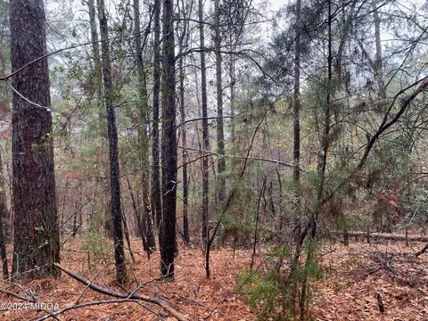 0 Hawk Ln, Roberta, GA 31078 photo 4