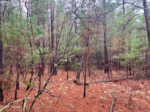 0 Hawk Ln, Roberta, GA 31078 photo 3