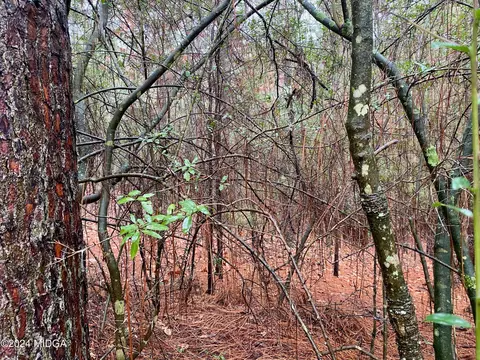 0 Hawk Ln, Roberta, GA 31078 photo 2