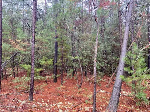 0 Hawk Ln, Roberta, GA 31078