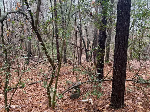0 Hawk Ln, Roberta, GA 31078 photo 6