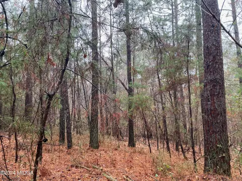 0 Hawk Ln, Roberta, GA 31078 photo 5
