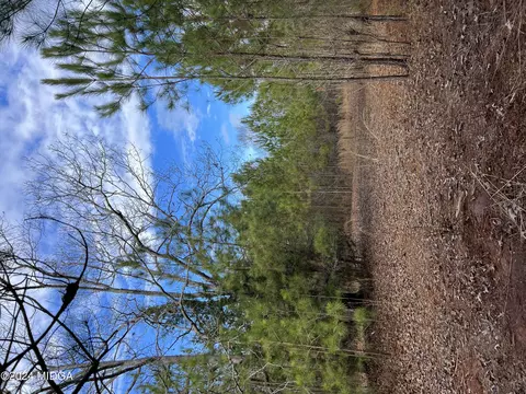983 Floyd Rd, Forsyth, GA 31029 photo 6