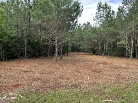 983 Floyd Rd, Forsyth, GA 31029 photo 2