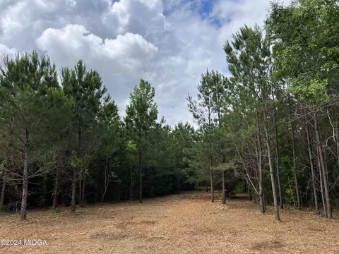 983 Floyd Rd, Forsyth, GA 31029 photo 4