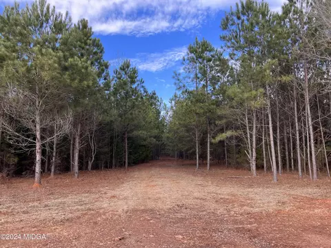 983 Floyd Rd, Forsyth, GA 31029 photo 3
