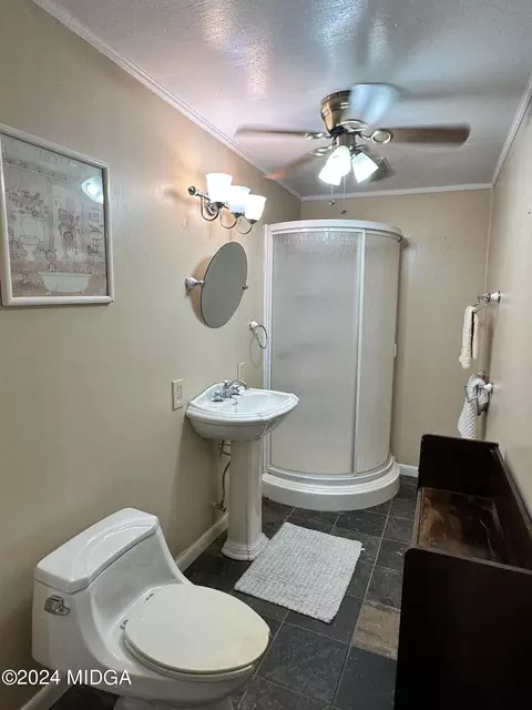 94 Lakeview Dr, Roberta, GA 31078 photo 18