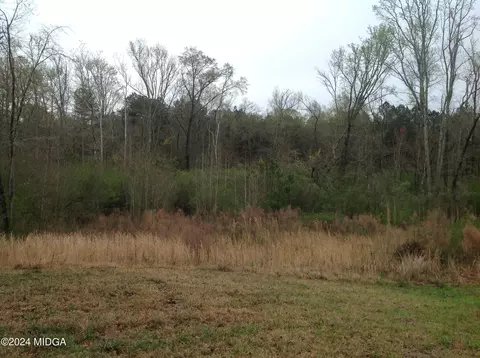 243 Buck Rd, Gray, GA 31032 photo 19