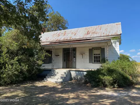 491 Barrow Rd, Reynolds, GA 31076