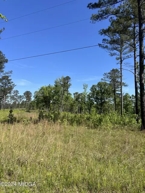 693 Giles Rd, Forsyth, GA 31029