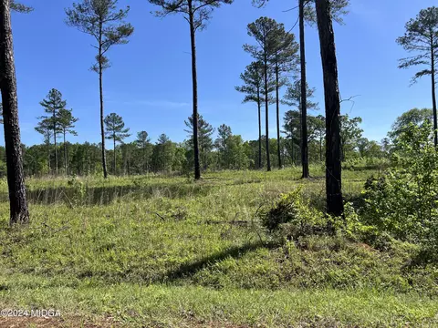 681 Giles Rd, Forsyth, GA 31029