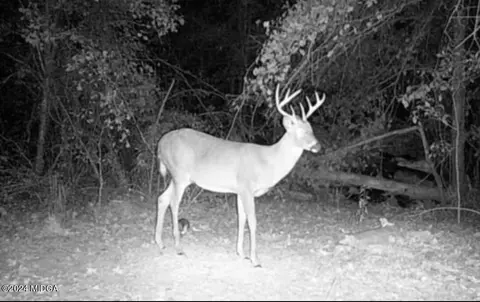 0 Country Club Rd, Fort Valley, GA 31030