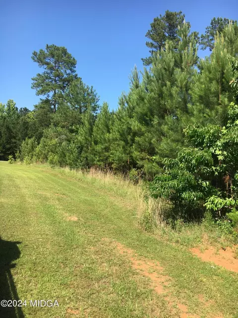 2716 Grey Fox Ct, Haddock, GA 31033 photo 2