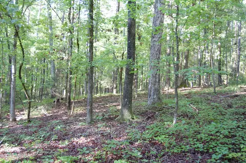 0001 Kyndal Ln, Forsyth, GA 31029