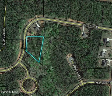 315 Crescent Dr, Forsyth, GA 31029 photo 1