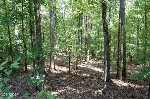 00 Avant Rd, Eatonton, GA 31024