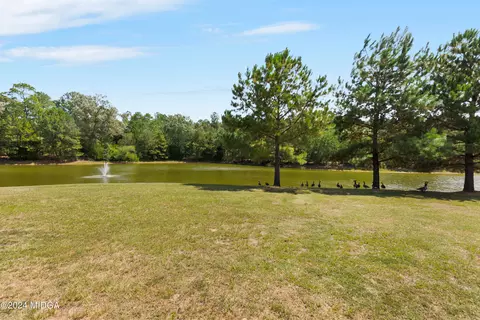 3001 Cellar Ln, Perry, GA 31069 photo 59