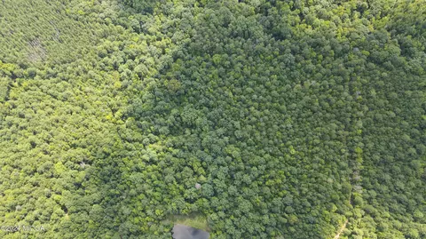 0 Skinner Rd, Gray, GA 31032 photo 2