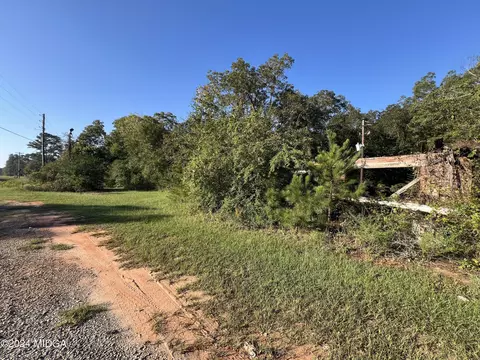 0 U Highway 341, Roberta, GA 31078 photo 5