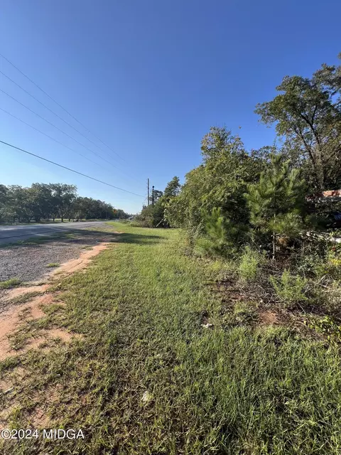0 U Highway 341, Roberta, GA 31078 photo 4