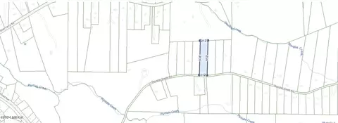 Na Douglas Creek Road, Flovilla, GA 30216
