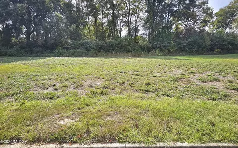 lot8 Collins Estate Ave, Centerville, GA 31028