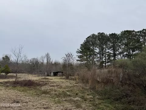 206 Gooseneck Ln, Hawkinsville, GA 31036