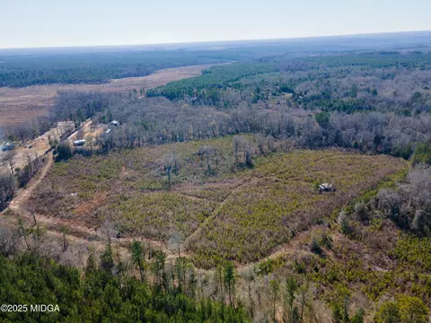 0 Starling Rd, Cochran, GA 31014 photo 8