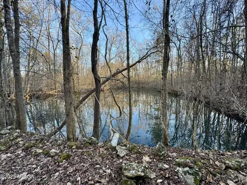 0 Starling Rd, Cochran, GA 31014 photo 14
