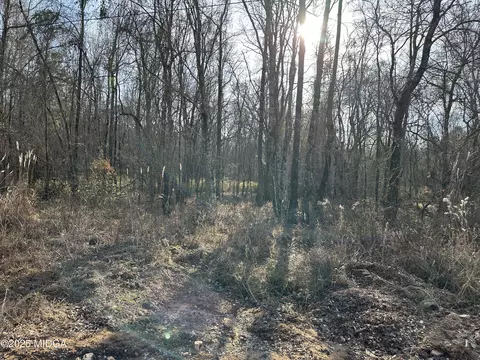 0 Cyler Rd, Gray, GA 31032 photo 2