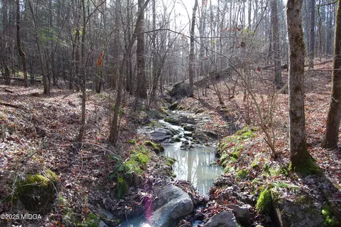 0 Eastover Rd, Greensboro, GA 30642