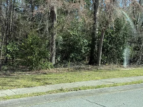 128 Oakview Club Dr, Macon, GA 31216