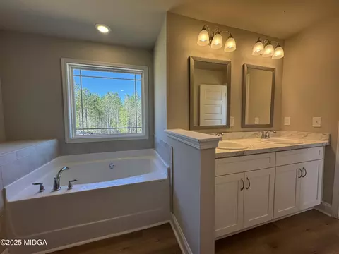 Bath - 446 Gray Wolf Dr, Macon, GA 31216 photo 3 of 6