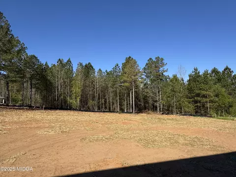 Exterior - 446 Gray Wolf Dr, Macon, GA 31216 photo 5 of 6