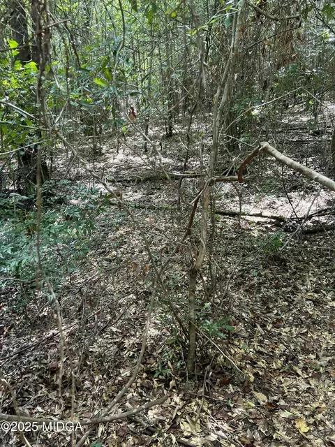 3750 Stallworth Dr, Macon, GA 31217