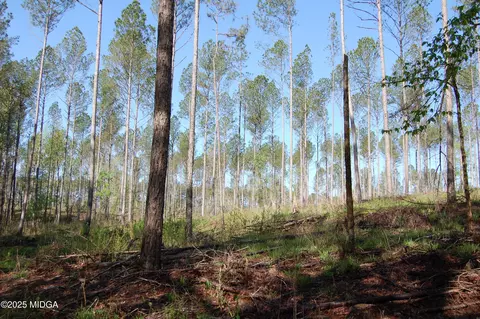 0000 Hwy 87 Tract 4, Forsyth, GA 31029