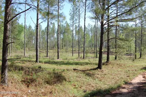 00 Watson Road East Tract 8, Forsyth, GA 31029