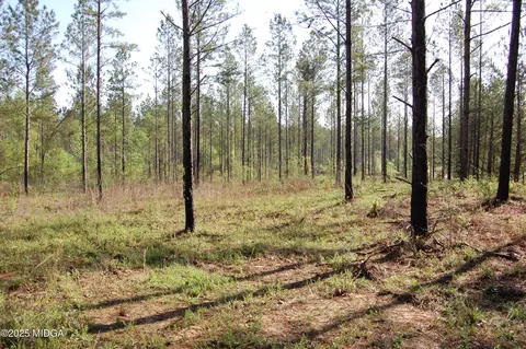 000 Watson Road East Tract 11, Forsyth, GA 31029