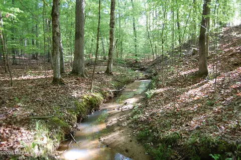0000 Watson Rd E, Forsyth, GA 31029