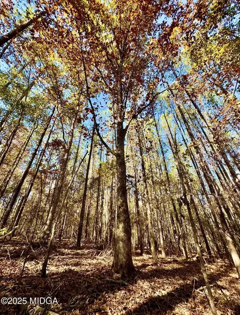 0 Griswoldville Short Cut, Gray, GA 31032 photo 11