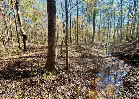 0 Griswoldville Short Cut, Gray, GA 31032 photo 13