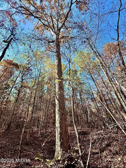 0 Griswoldville Short Cut, Gray, GA 31032 photo 16