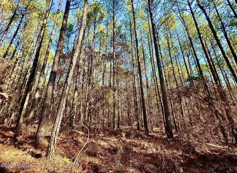 0 Griswoldville Short Cut, Gray, GA 31032 photo 17