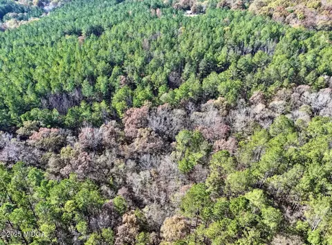 0 Griswoldville Short Cut, Gray, GA 31032 photo 8