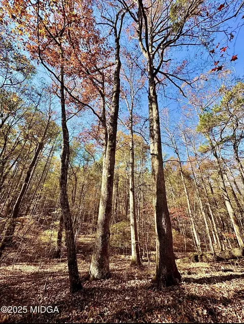 0 Griswoldville Short Cut, Gray, GA 31032 photo 14