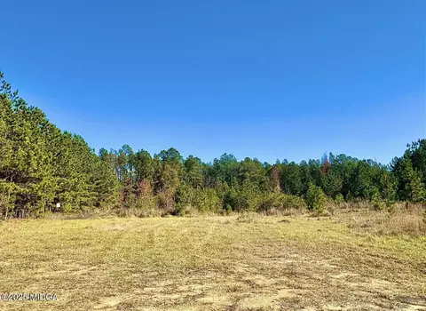 0 Griswoldville Short Cut, Gray, GA 31032 photo 12