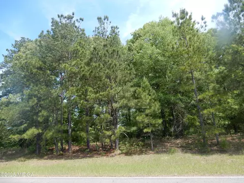 0 Old Gordon Rd, Dry Branch, GA 31020